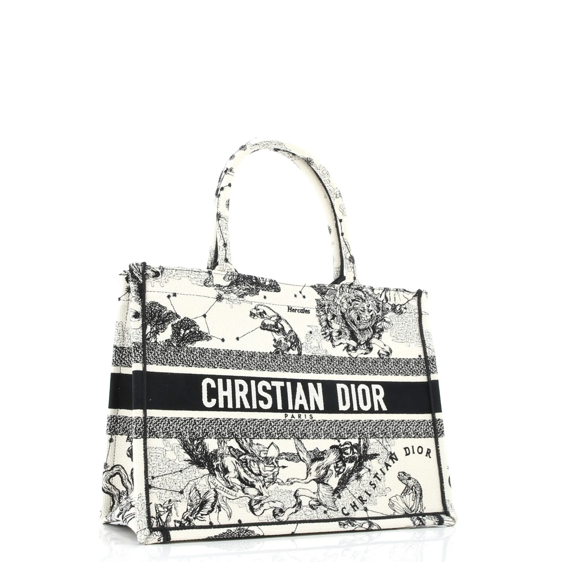 Book Tote Embroidered Canvas Medium