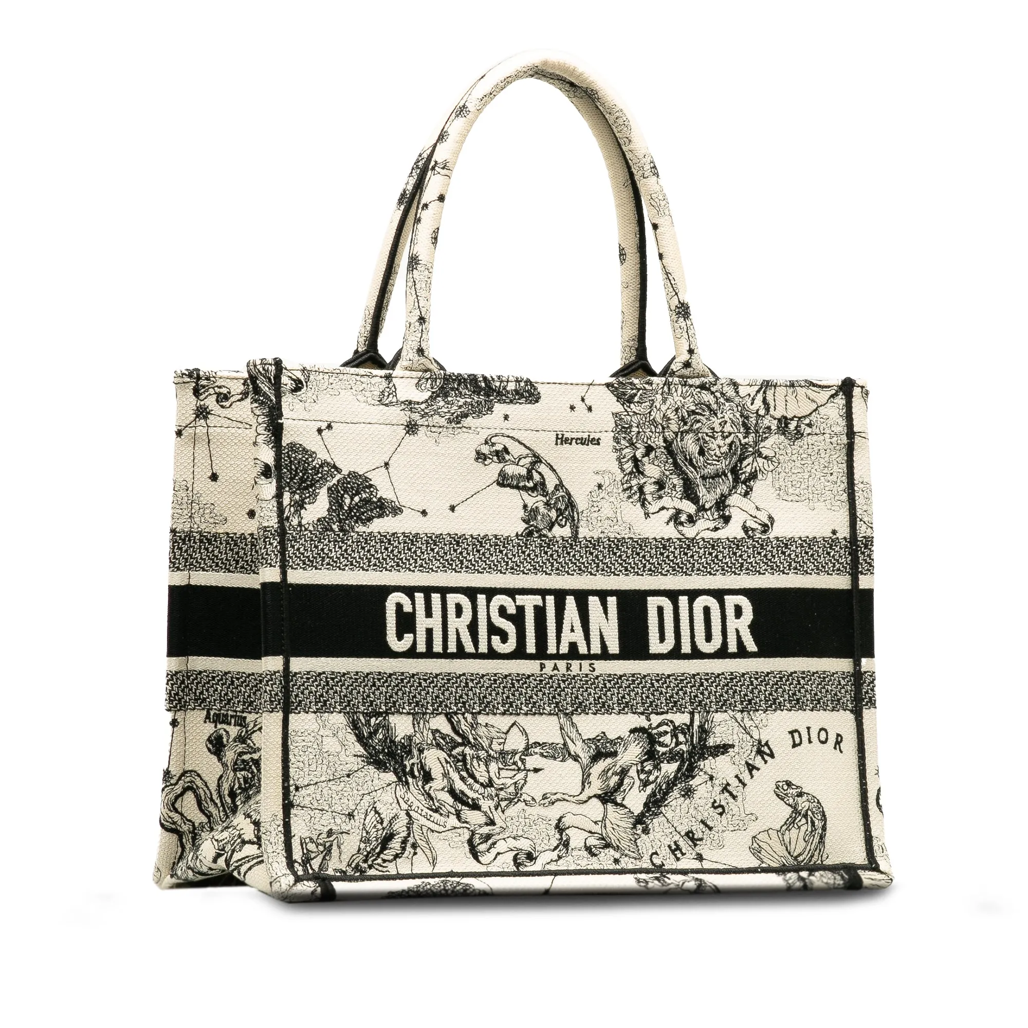 DIOR Small Zodiac Book Tote Tote Bag