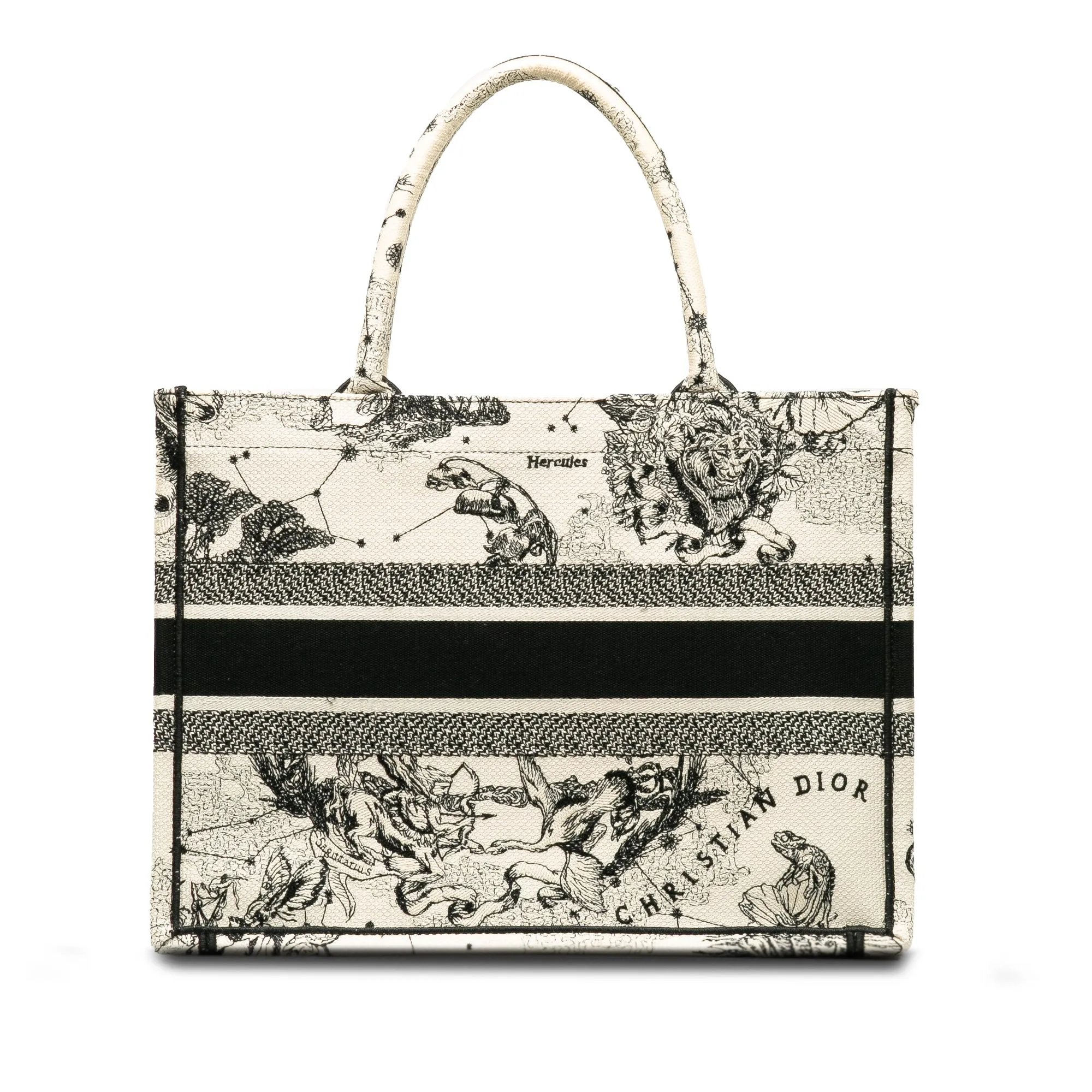 DIOR Small Zodiac Book Tote Tote Bag