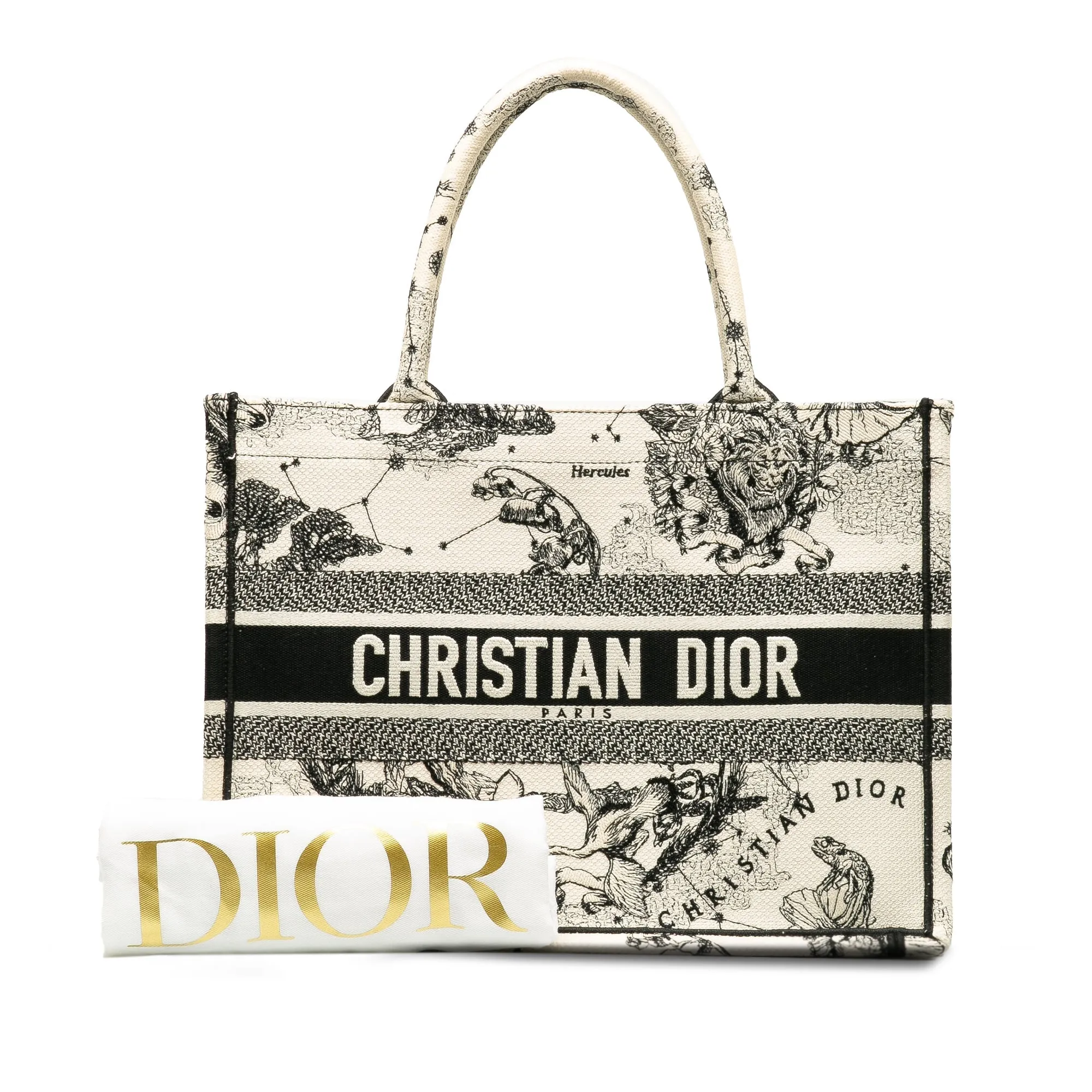 DIOR Small Zodiac Book Tote Tote Bag