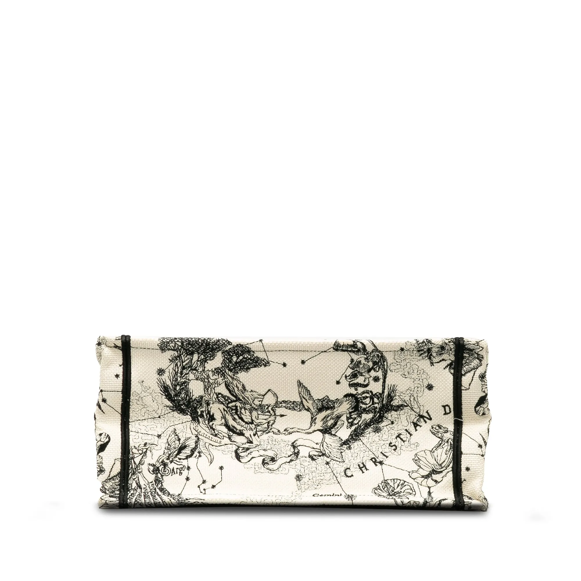 DIOR Small Zodiac Book Tote Tote Bag