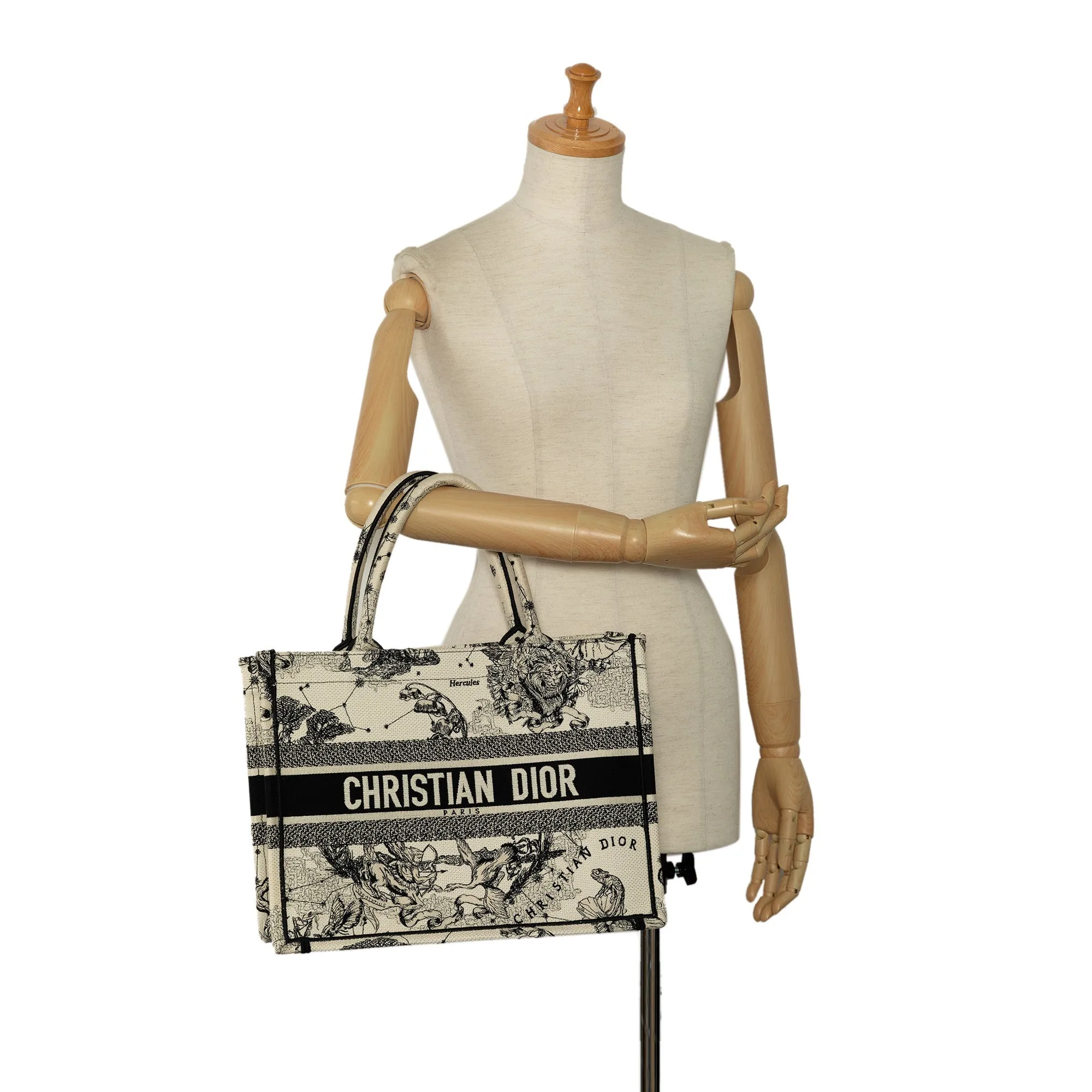 DIOR Small Zodiac Book Tote Tote Bag