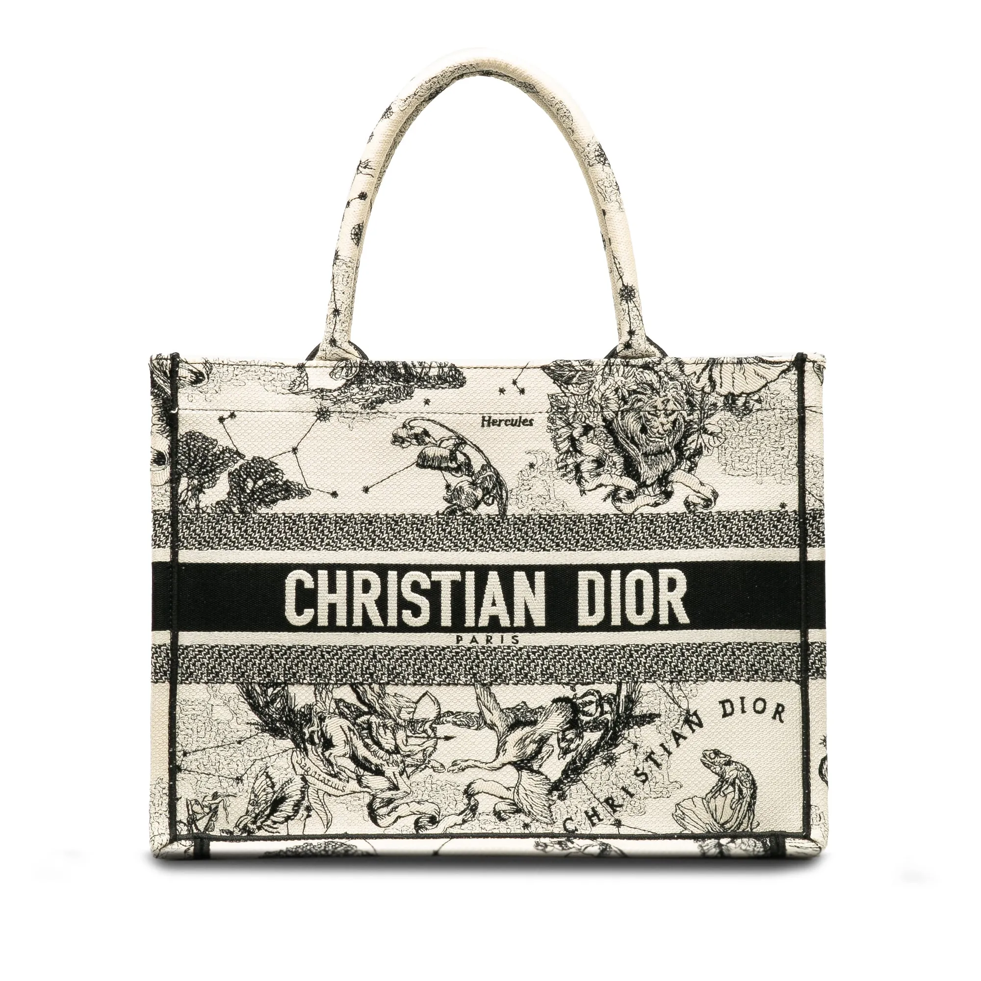 DIOR Small Zodiac Book Tote Tote Bag