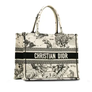 DIOR Small Zodiac Book Tote Tote Bag