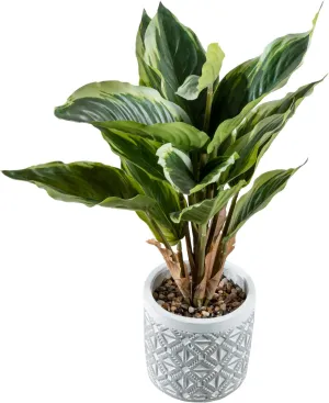 MyGift Artificial Dieffenbachia Leafy Plant in Modern Gray Concrete Pot with Geometric Embossed Pattern, Faux Indoor Home Decor Greenery Decorative Round Planter
