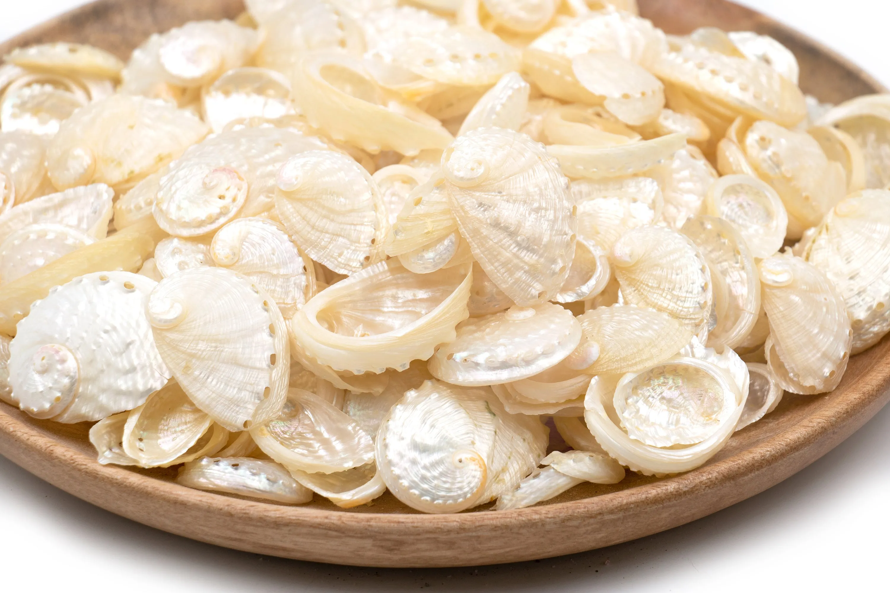 Pearled Abalone Shells - 1 Kg