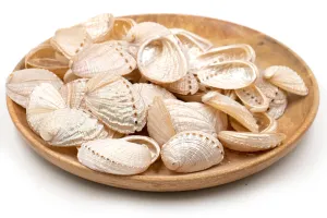 Pearled Champagne Abalone Shells - 1 Kg