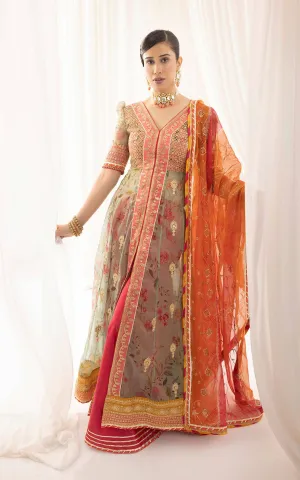 Rangoli (ANB-01)
