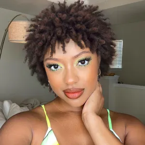 Short Dreadlock Wig Twist Braids Wigs Dreadlock Wig for Black Women and Men Ombre Brown African American Twist Braiding Synthetic Wig 1B 30